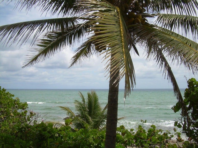 water view with a view of the beach