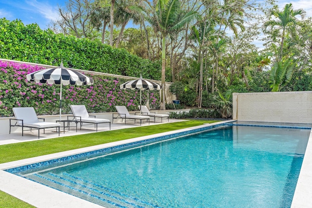 view of swimming pool featuring a patio