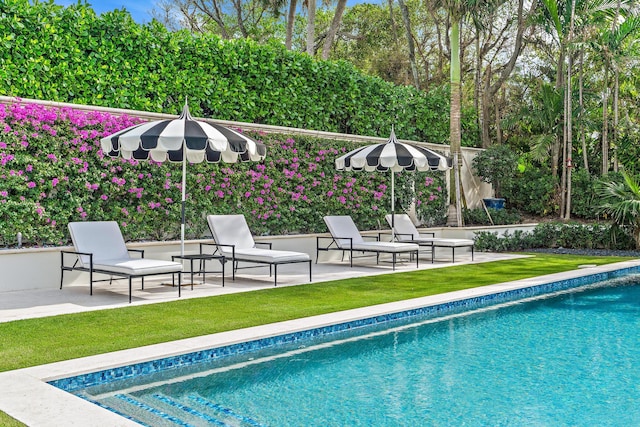 view of swimming pool featuring a patio