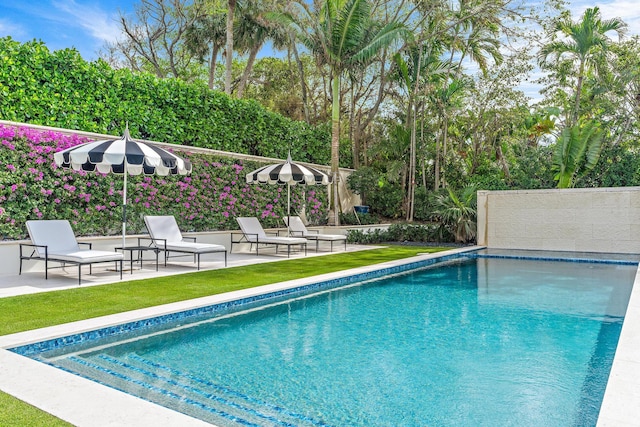 view of pool featuring a patio and a lawn