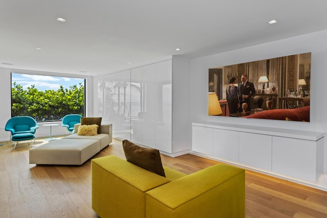 living room featuring light wood-type flooring