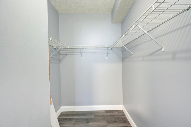 spacious closet featuring dark wood-type flooring