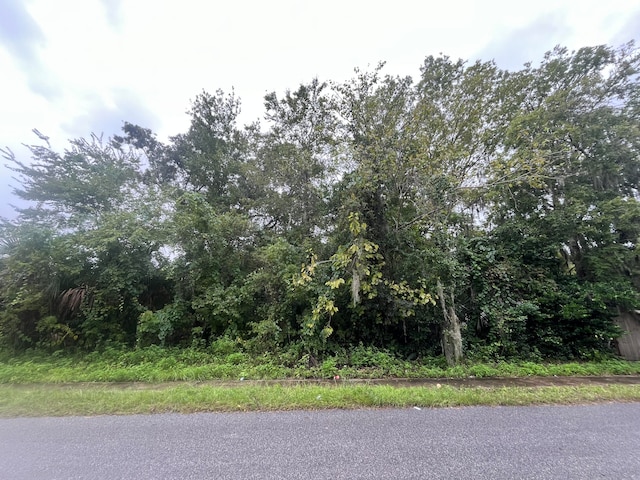 Listing photo 3 for 0 W Palmetto St, Palatka FL 32177