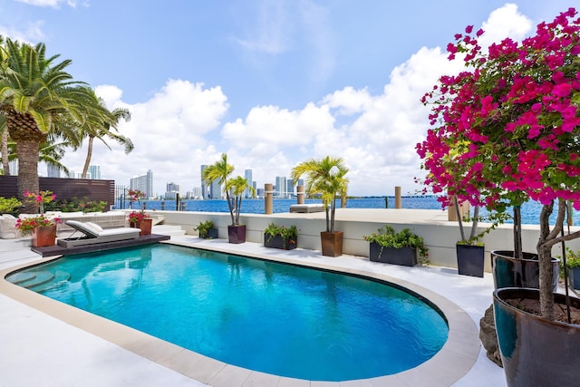 view of swimming pool featuring a patio