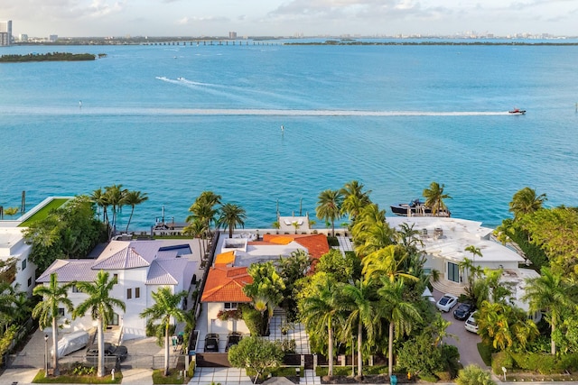 drone / aerial view with a water view