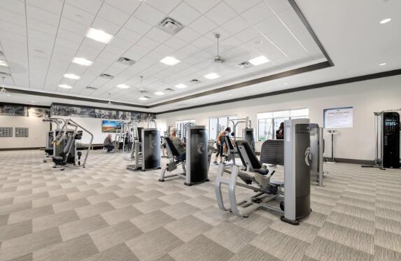 workout area featuring crown molding, light colored carpet, and a raised ceiling