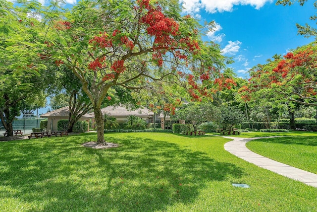 view of community with a lawn