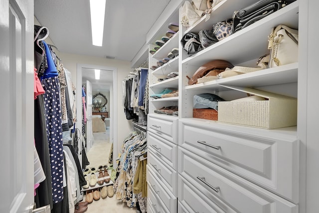 spacious closet with carpet flooring