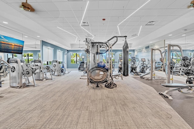 exercise room featuring a healthy amount of sunlight, a paneled ceiling, and carpet