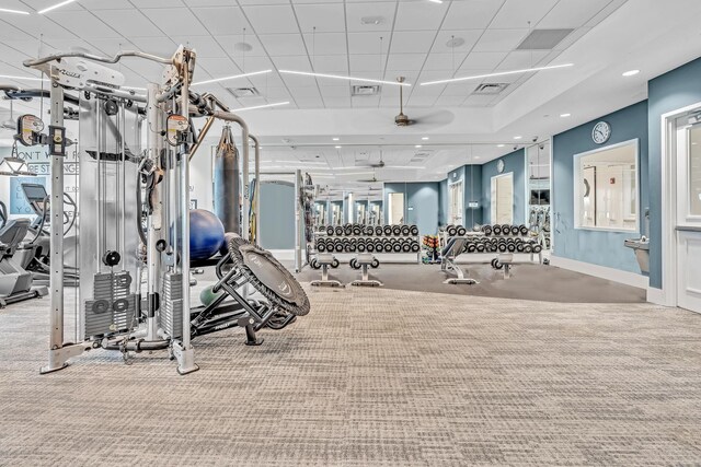 gym with a paneled ceiling, ceiling fan, and carpet flooring