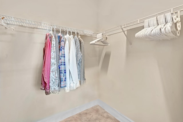 view of spacious closet