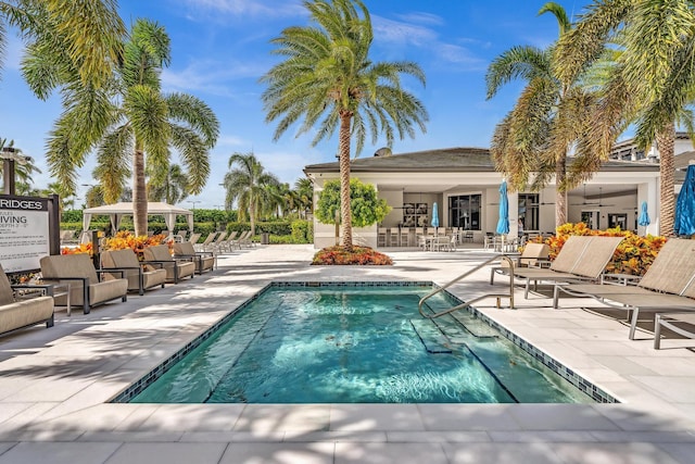 view of swimming pool with a patio and a swimming pool