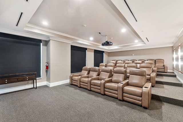 carpeted cinema room featuring crown molding and a tray ceiling