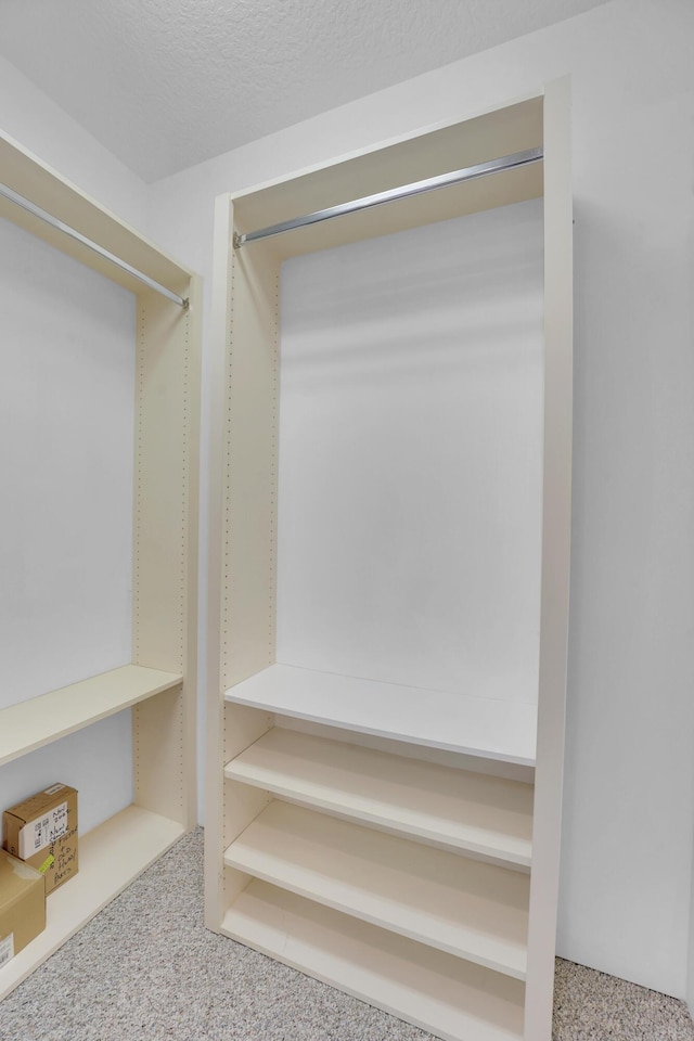 walk in closet with carpet