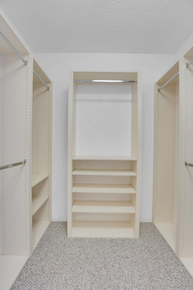spacious closet with carpet