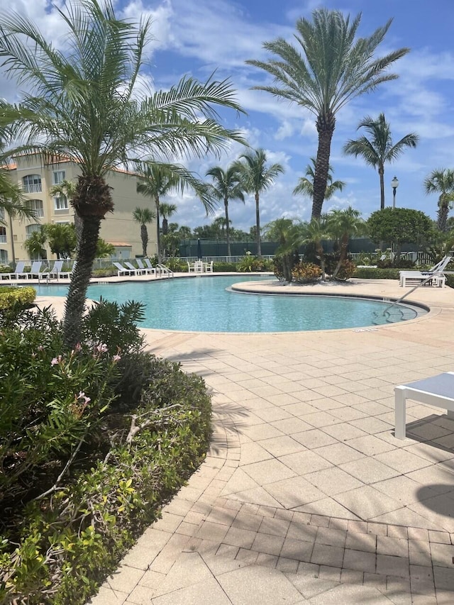 view of swimming pool featuring a patio area