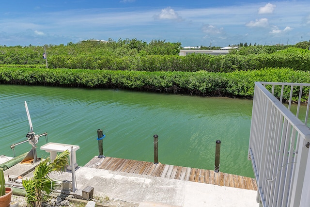 dock area with a water view