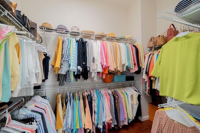 view of walk in closet