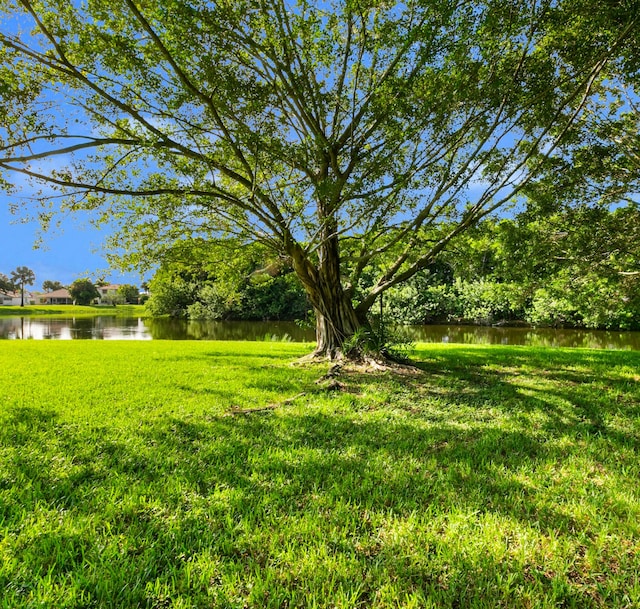 view of yard with a water view