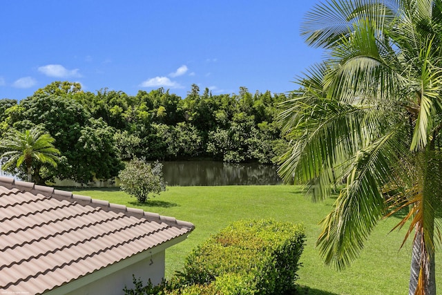 view of yard with a water view