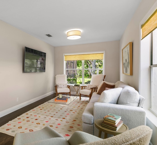 living room featuring dark hardwood / wood-style flooring