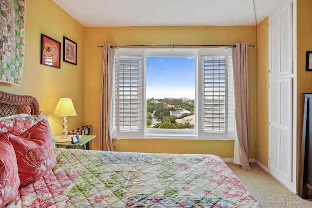 bedroom featuring carpet floors