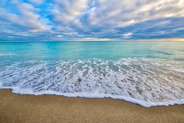 water view featuring a beach view