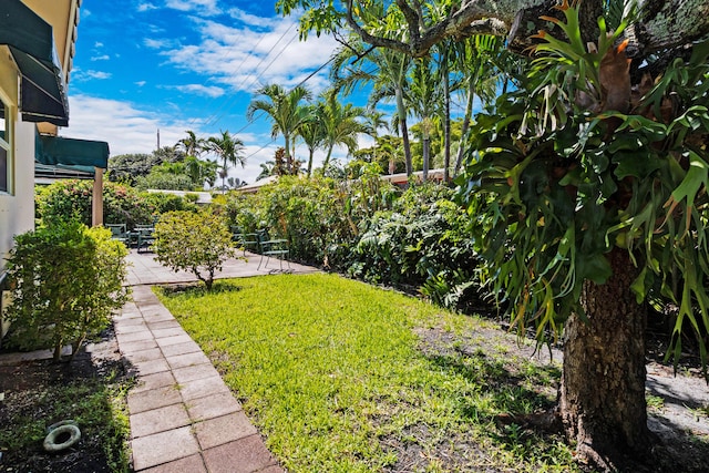 view of yard with a patio area