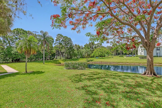 view of property's community with a water view and a yard