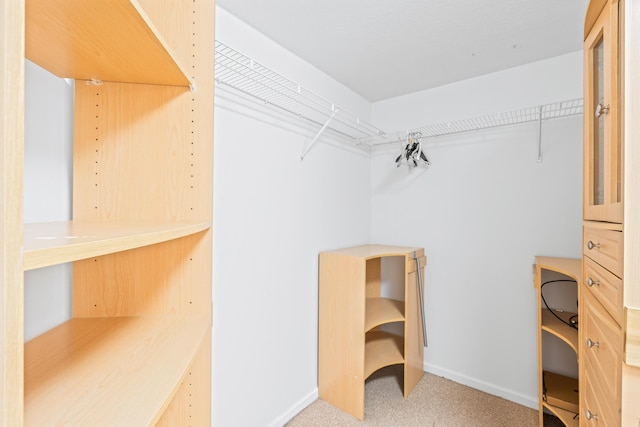 spacious closet featuring light colored carpet