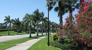 view of property's community with a yard