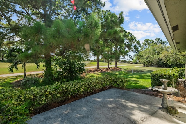 view of community with a patio area and a lawn