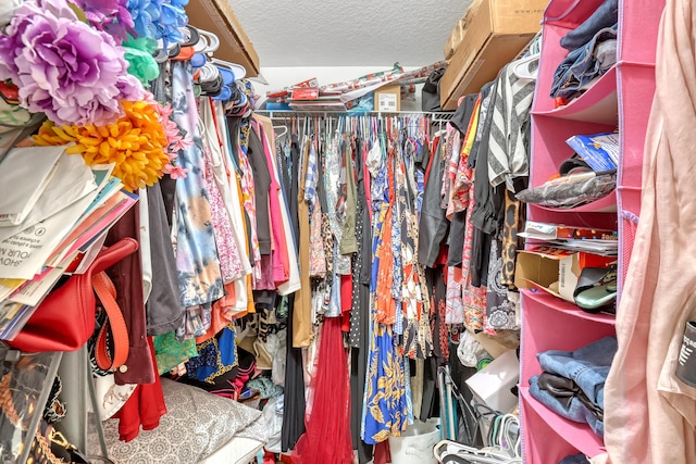 view of walk in closet