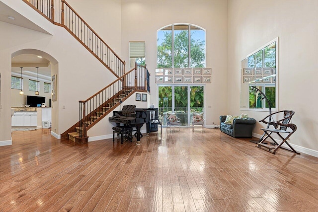 entryway featuring wood-type flooring and a high ceiling