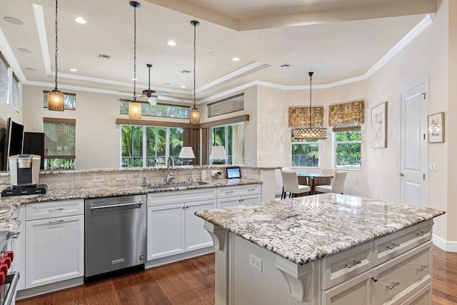 kitchen with sink, stainless steel dishwasher, dark hardwood / wood-style flooring, and a raised ceiling