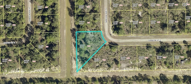 1128 Rankin, Lehigh Acres FL, 33974 land for sale