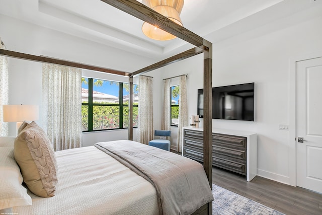 bedroom featuring dark wood-type flooring and a tray ceiling