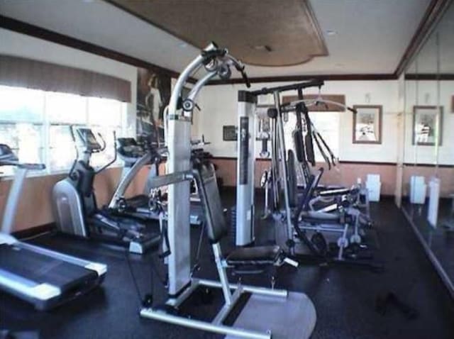 workout area with crown molding