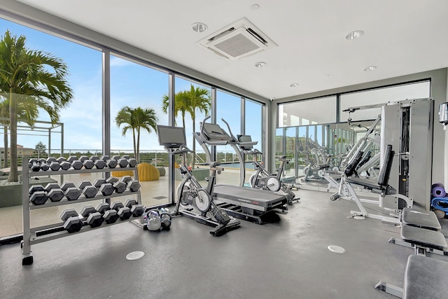 gym with a wealth of natural light and a wall of windows