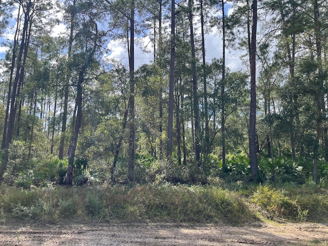 0 Susan St, Interlachen FL, 32148 land for sale