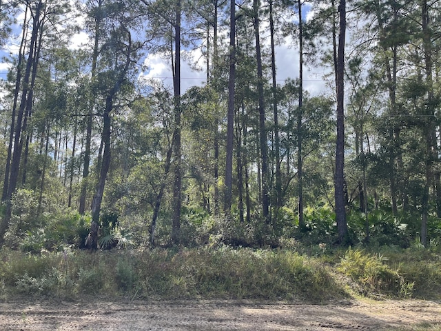 0 Susan St, Interlachen, FL 32148