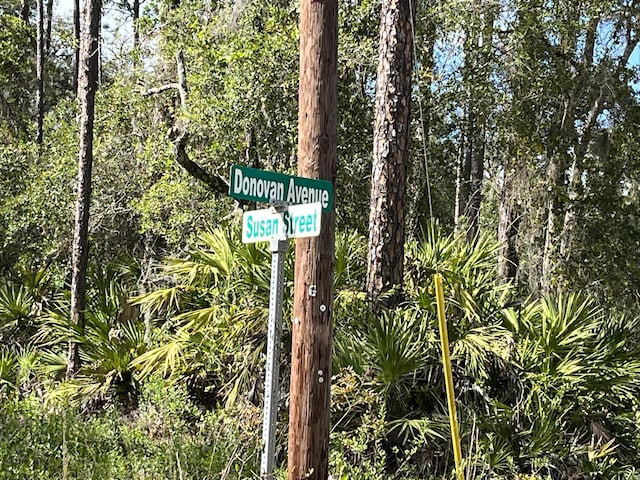 0 Susan St, Interlachen, FL 32148