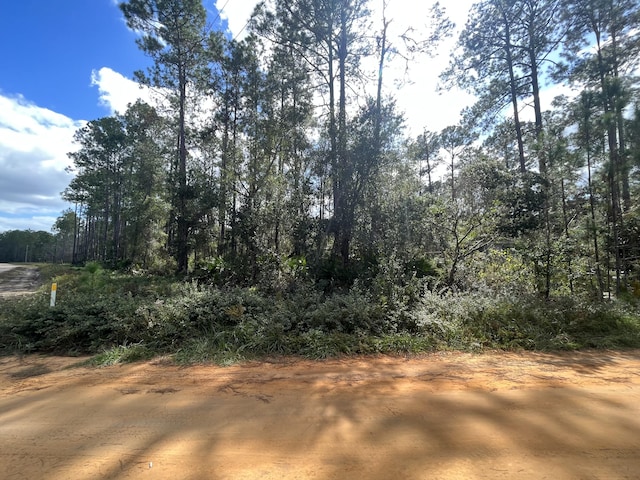 0 Susan St, Interlachen, FL 32148