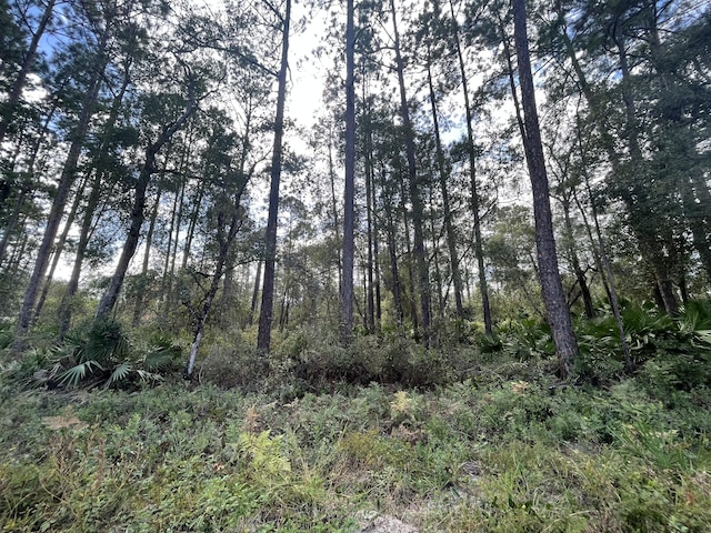 0 Susan St, Interlachen, FL 32148