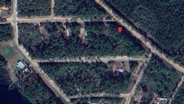 0 Susan St, Interlachen, FL 32148