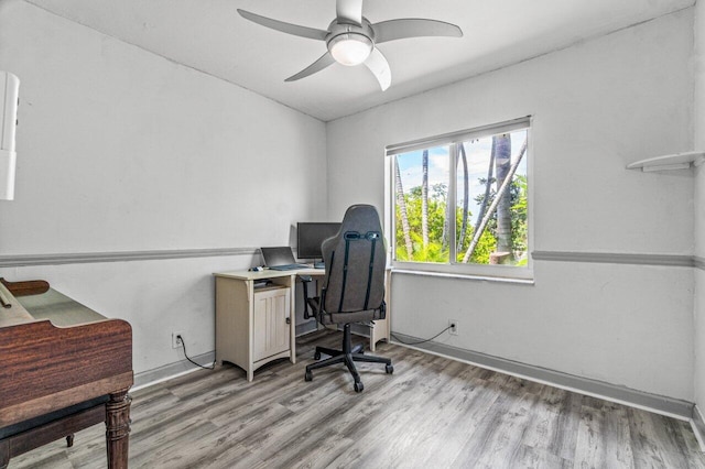 office with ceiling fan and light hardwood / wood-style flooring