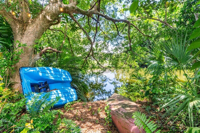 view of yard featuring a water view