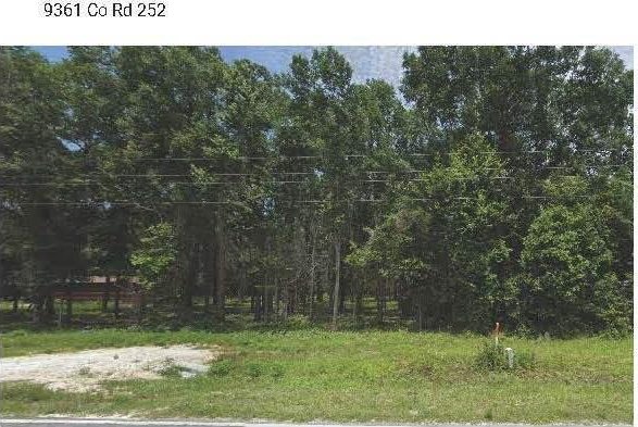 Xxxx County Road 252, Live Oak FL, 32060 land for sale