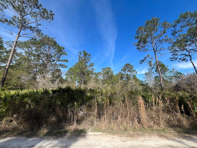 0 Appaloosa Ave, Interlachen FL, 32148 land for sale