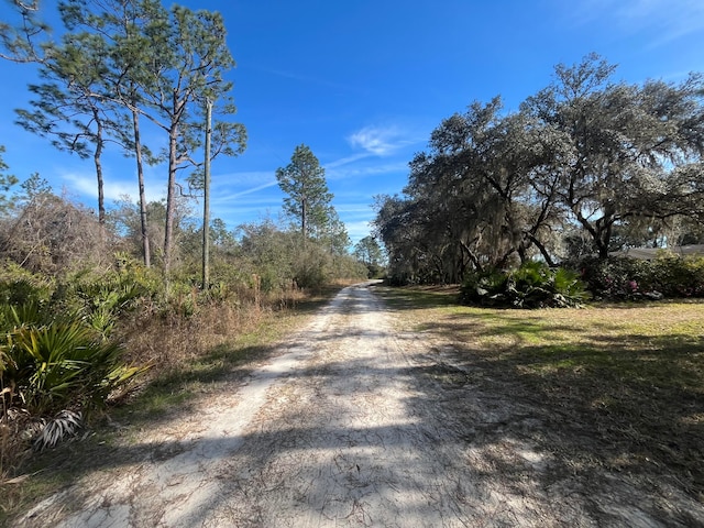 Listing photo 3 for 0 Appaloosa Ave, Interlachen FL 32148